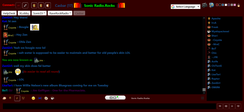 Screenshot 2023-09-16 at 12-42-16 Sonic Chat.png